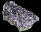 Amethyst Crystal Cluster - Uruguay #30569-1